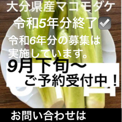 マコモダケ‼︎ 令和6年分出品開始