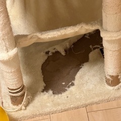 キャットタワー　6ヶ月前に購入　28.29日に取りに来てくださいの画像