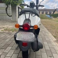 ホンダトゥデイF (取引成立しました)の画像