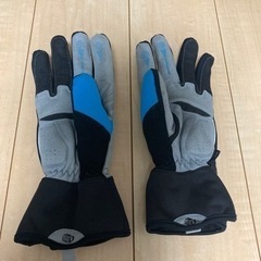 パールイズミ 真冬用グローブの画像