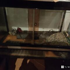 ビバリア　①爬虫類用のケージ85センチ