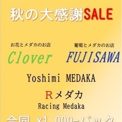 昭島メダカフェス - 昭島市