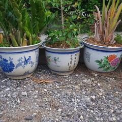 植木鉢の画像