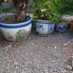 植木鉢の画像
