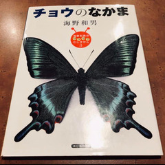 チョウのなかま