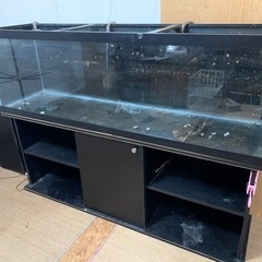 大型魚等の飼育にいかがですかー？?中古180センチガラス水槽フルセット