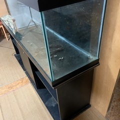 大型魚等の飼育にいかがですかー？🥰中古180センチガラス水槽フルセットの画像