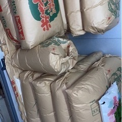 ひとめぼれ 玄米30kg  令和5年度産