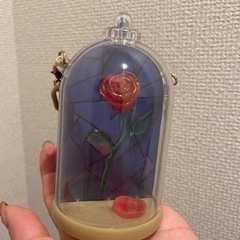 【未使用】♡ディズニー♡スーベニアケース&ランチョンマット♡の画像