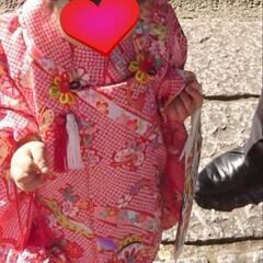 七五三　3歳　被布着物お草履一式　セットの画像