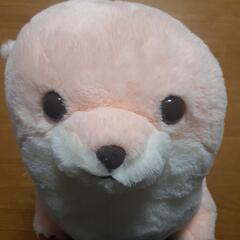 カワウソBIGぬいぐるみ【未使用タグ付き】