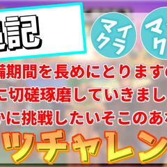 マイクラでゲーム実況やってみませんか？～動画編集者募集の段～ − 東京都