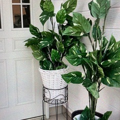 フェイクグリーン🌴2個セットの画像