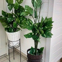 フェイクグリーン🌴2個セットの画像