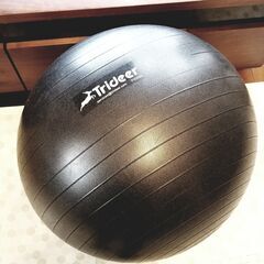 [最終価格、1月末掲載終了予定]2994 Trideer バラン...