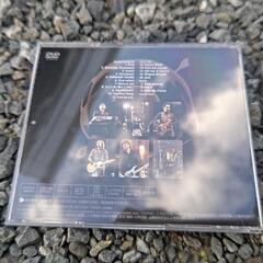 エブリリトルシングDVD１５００円の画像