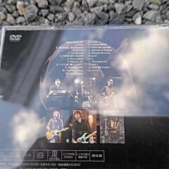 エブリリトルシングDVD１５００円の画像