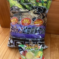 【話し合い中】カブトムシの土