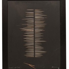 Hilton McConnico  ボタニカルアート　