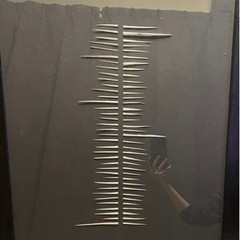 Hilton McConnico  ボタニカルアート　の画像