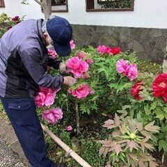 〔A/P〕【未経験OK！】川崎市大師公園／園内作業スタッフの画像