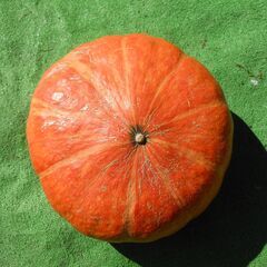 28日夕刻で終了します、2個まとめて１４００円　ハロウィン　かぼ...