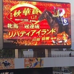 競馬場　観戦メンバー募集
