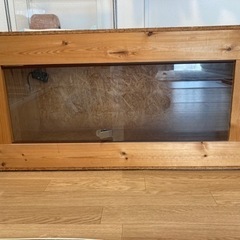 爬虫類ゲージ