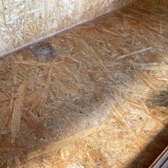 爬虫類ゲージの画像