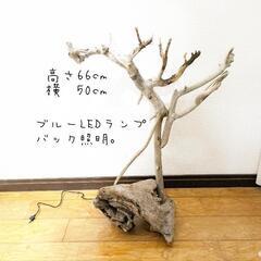 流木ランプLEDの画像