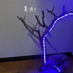流木ランプLEDの画像