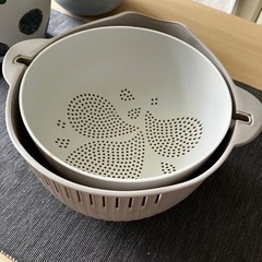 10月末まで　スリコザル