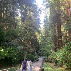 最近一人旅をしてます✈️