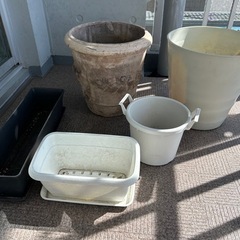 止めてます　0円　植木鉢　プランター