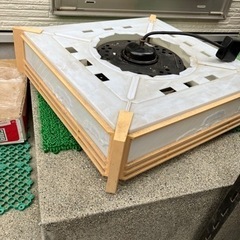 和室照明