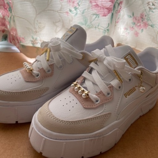 注文 (超メルカリ市価格) 2S約150Lヤシガラハスクチップ