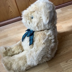 クマのぬいぐるみ　取りに来られる方の画像