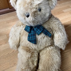 クマのぬいぐるみ　取りに来られる方