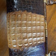 ワニ革貴重の画像