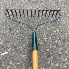 畑の枯葉集め、開墾に　ピーコック！の画像