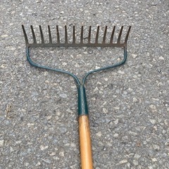 畑の枯葉集め、開墾に　ピーコック！の画像