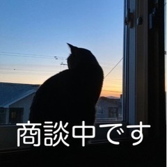 猫用　腎臓サポート　スペシャル　ドライ