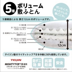【美品/使用頻度低】ニトリ×TEIJIN 敷布団(セミダブル)の画像