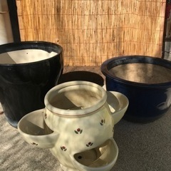 ストロベリーポットの中古が安い！激安で譲ります・無料で