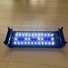 水草LEDライトの画像