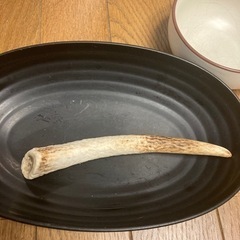 鹿の角（犬のおもちゃ用）の画像