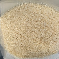 残りわずか‼️令和5年度産新米🌾ほしじるし米⭐️30kg の画像