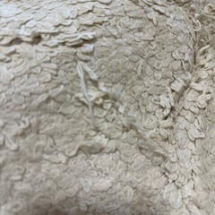 【確定済み🙇‍♀️】【12/10限定！】【お譲りします！】シーズンリーズン丸ラグ　の画像