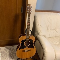 大特価！良音で弾きやすく調整済⭐️美品 アコースティックギター