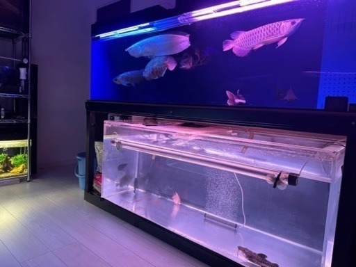 150水槽　取引中